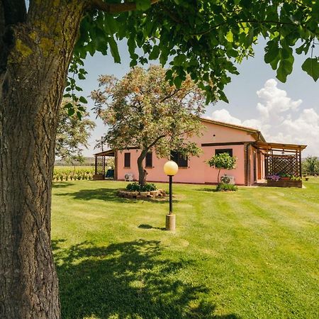 Agriturismo Il Laghetto 그레세토 외부 사진