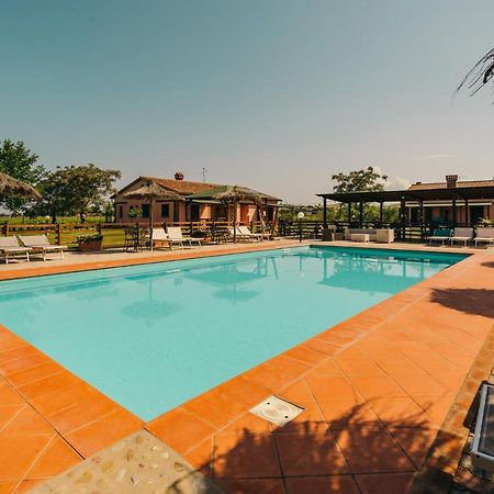 Agriturismo Il Laghetto 그레세토 외부 사진