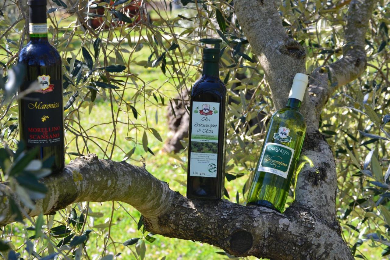 Agriturismo Il Laghetto 그레세토 외부 사진