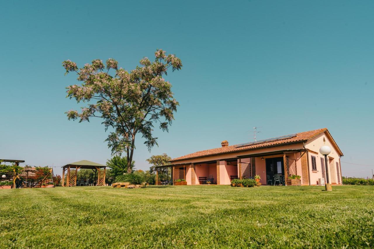 Agriturismo Il Laghetto 그레세토 외부 사진