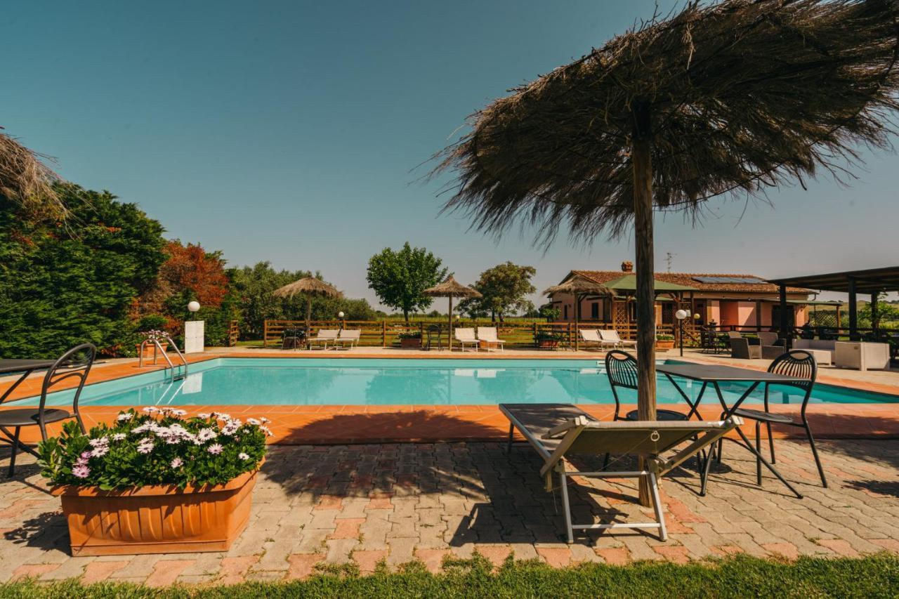 Agriturismo Il Laghetto 그레세토 외부 사진