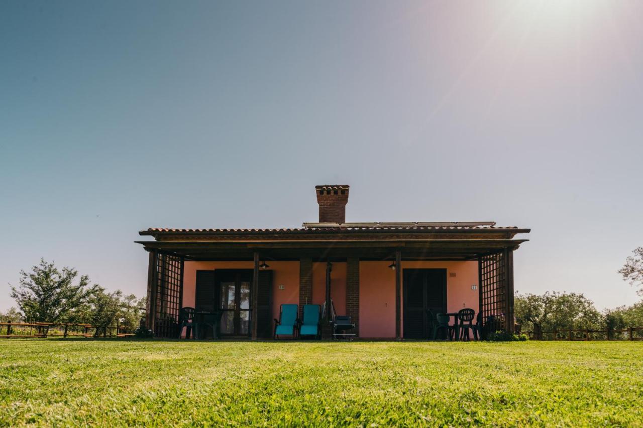 Agriturismo Il Laghetto 그레세토 외부 사진