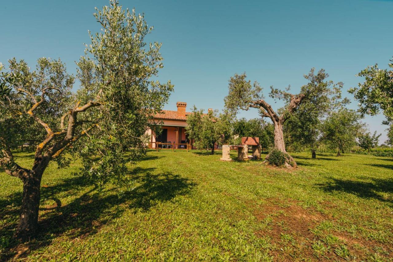 Agriturismo Il Laghetto 그레세토 외부 사진