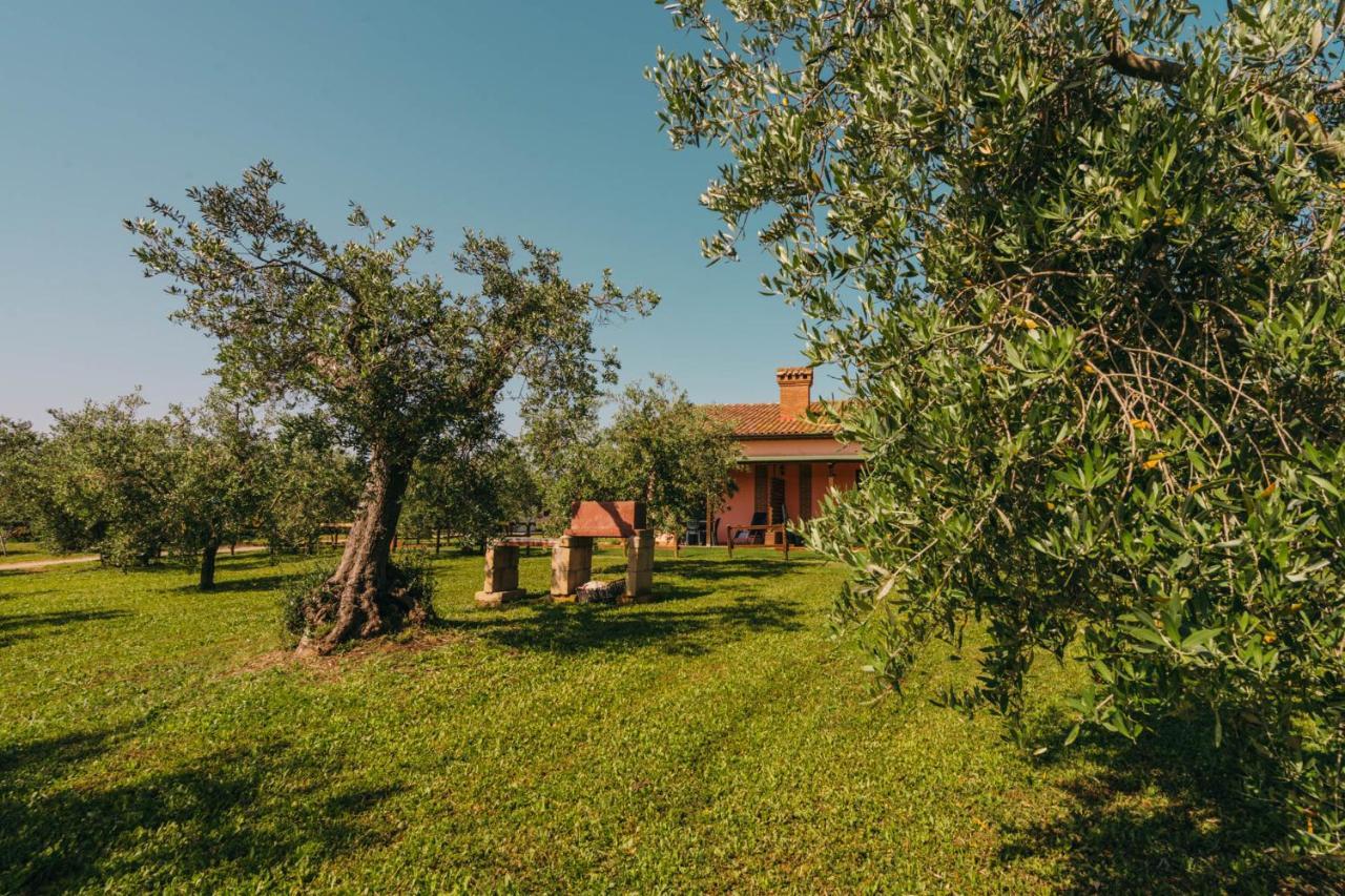 Agriturismo Il Laghetto 그레세토 외부 사진